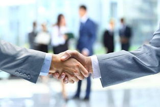 燕郊企業服務指南 衛生許可證與知識產權服務詳解